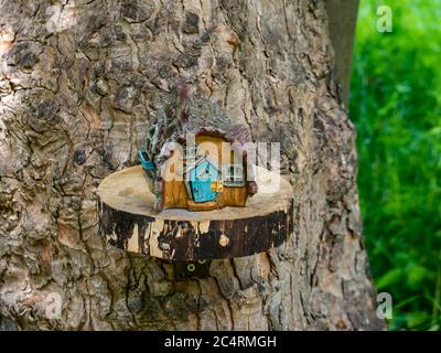 Imaginary quirky miniature cottage on tree in fairy trail, Archerfield Estate, East Lothian, Scotland, UK Stock Photo