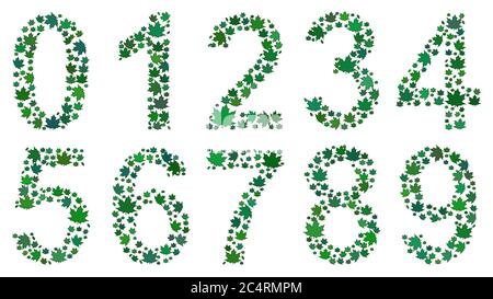 Set of digits from 0 to 9, consisting of green leaves on white background Stock Vector