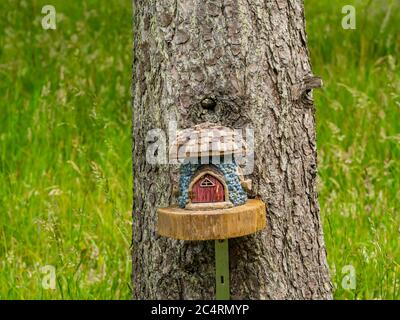 Imaginary quirky miniature cottage on tree in fairy trail, Archerfield Estate, East Lothian, Scotland, UK Stock Photo