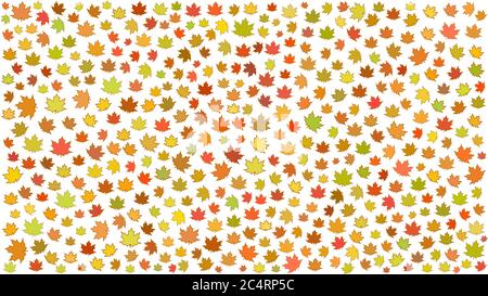 Background of small autumn leaves on white background Stock Vector