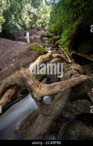 Beautiful view to green rainforest river with fallen tree log, Serrinha Ecological Reserve in the mountains of Rio de Janeiro, Brazil Stock Photo