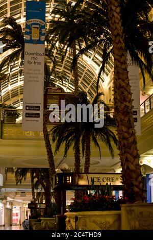 Trafford Centre, Manchester, England, UK. Architecture, palm trees, statue, fountain Stock Photo