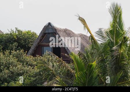 The roof of a remote lodge surrounded by lush trees on the beach outside of Maputo in Mozambique Stock Photo