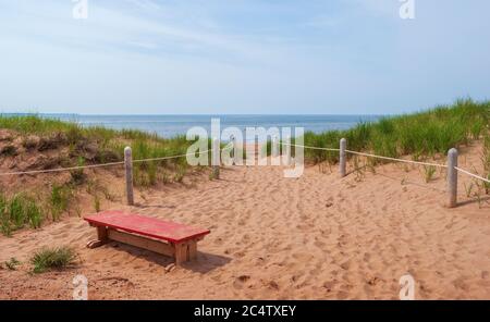Picturesque view of a red bench on a footpath to a beach near Covehead Lighthouse. Red sand, green beachgrass and blue sky. PEI National Park, Canada. Stock Photo