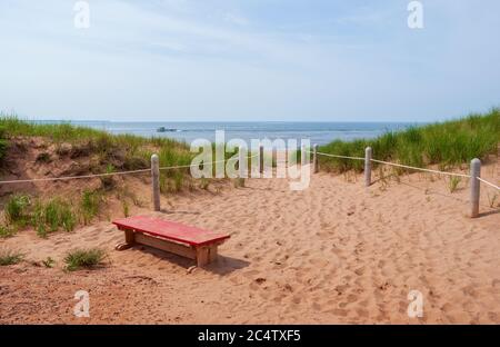 Picturesque view of a red bench on a footpath to a beach near Covehead Lighthouse. Red sand, green beachgrass and blue sky. PEI National Park, Canada. Stock Photo