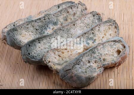 Macrophotography of green mildew on a stale bread. Surface of moldy bread. Spoiled bread with mold. Moldy fungus on rotten bread. Top view. Stock Photo