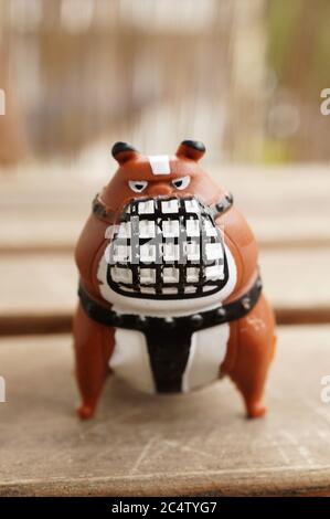 POZNAN, POLAND - Jun 07, 2020: Gridget Pomeranian white plastic toy dog ...