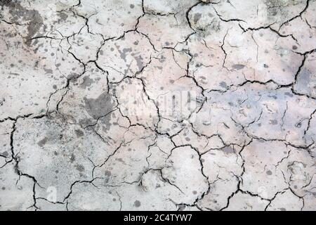 Dried up, cracked mud on hot summer day. Extreme weather. Stock Photo
