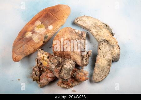 Macrophotography of green mildew on a stale bread. Surface of moldy bread. Spoiled bread with mold. Moldy fungus on rotten bread. Top view. Stock Photo