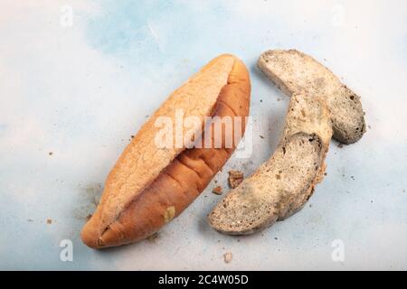 Macrophotography of green mildew on a stale bread. Surface of moldy bread. Spoiled bread with mold. Moldy fungus on rotten bread. Top view. Stock Photo