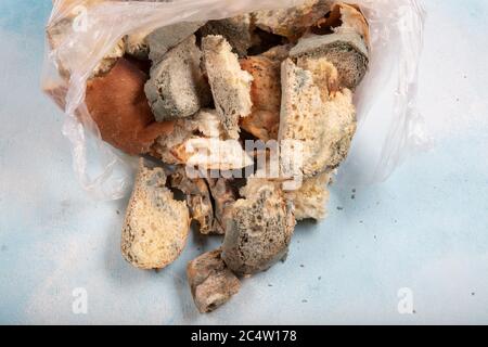 Macrophotography of green mildew on a stale bread. Surface of moldy bread. Spoiled bread with mold. Moldy fungus on rotten bread. Top view. Stock Photo