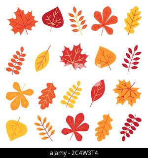 Autumn leaves set isolated on white background Stock Vector