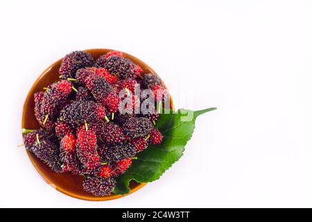 ripe berry fruit and mulberry leaf  in brown bowl on white background healthy mulberry fruit food isolated Stock Photo