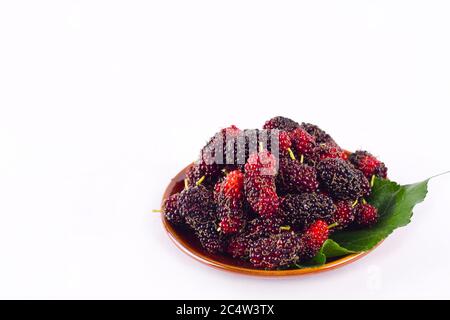 branch of ripe mulberry fruit and mulberry leaf  in brown bowl on white background healthy mulberry fruit food isolated Stock Photo