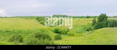 Panoramic view of Russian landscape with green trees and fields, rural landscape Stock Photo