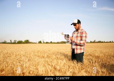 Precision farming. Farmer holding tablet pc, using online data management software at wheat field. Agronomist working with touch computer screen Stock Photo