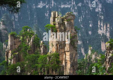 Stunning rock  pillars of the tianzi mountain range, Avatar mountains nature park, Zhangjiajie, China Stock Photo