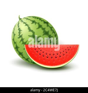 Vector Realistic Watermelon Stock Vector