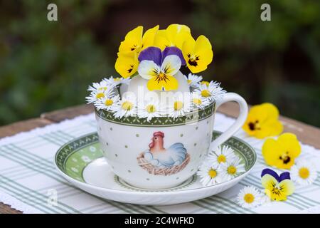 easter decoration with viola flowers and daisies in egg Stock Photo