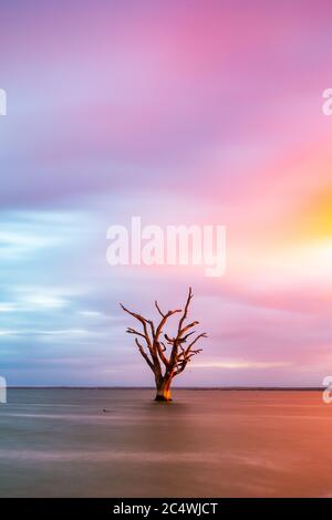 Sunrise over Lake Bonney with the iconic river red gums located in Barmera South Australia Stock Photo