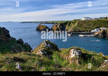 Mullion Cove from the South West Coast Path. Mullion, Lizard Peninsula, Cornwall, England, UK. Stock Photo