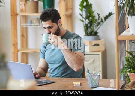Portrait of handsome bearded man drinking coffee and using laptop while sitting at desk in home interior decorated with houseplants, copy space Stock Photo