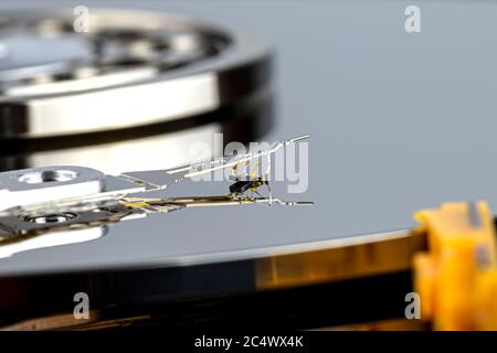 Macro shot of a magnetic needle on a hard disk platter, open HDD disk, perfectly clean surface. Stock Photo