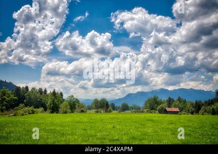 DE - BAVARIA: Hochfilzen Moor near Bad Tölz with Brauneck mountain in background  (HDR-Image) Stock Photo