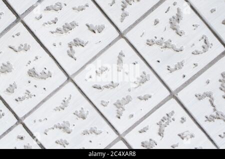 Gray-white concrete texture. Geometric background with square pattern. Close-up Stock Photo