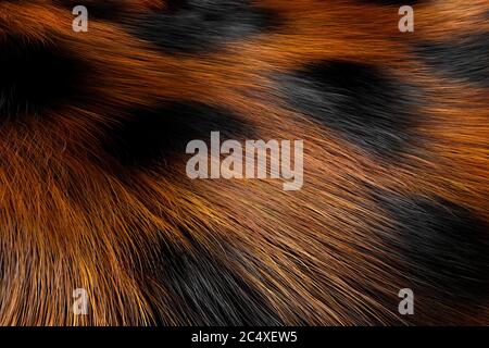 Animal Fur Spotted Texture of Leopard extreme closeup. 3d Rendering Stock Photo