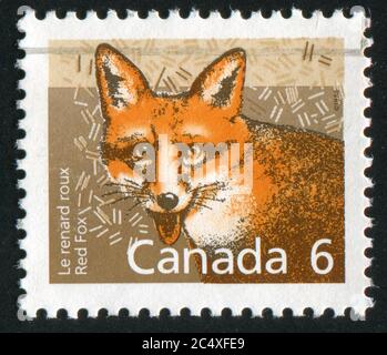 CANADA - CIRCA 1988: stamp printed by Canada, shows fox, circa 1988 Stock Photo