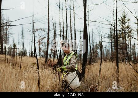 Female volunteer planting trees in forest. Woman tree planter wearing reflective vest walking in forest carrying bag full of trees and a shovel. Stock Photo