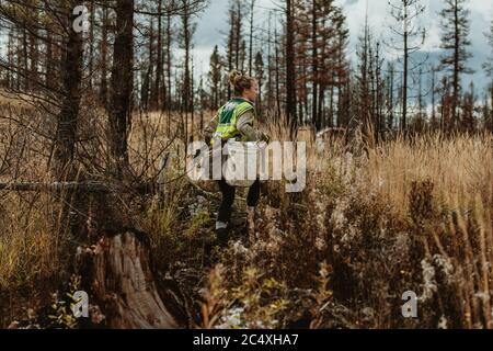 Female tree planter wearing reflective vest walking in forest carrying bag full of trees and a shovel. Woman working in forest planting new trees. Stock Photo