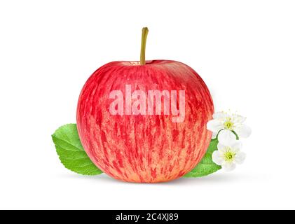 One red apple with green leaf isolated on white background with clipping path Stock Photo