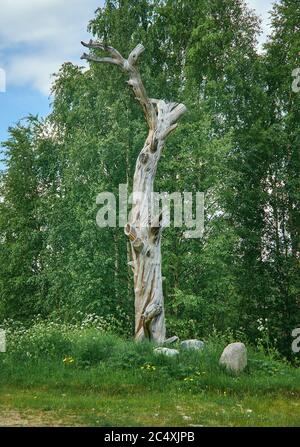 Lonnrot Pine Tree, Kalevala,  administrative center of Kalevalsky District in the Republic of Karelia, Russia. Stock Photo