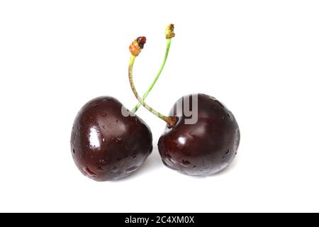 bunch of cherries on a white background Stock Photo