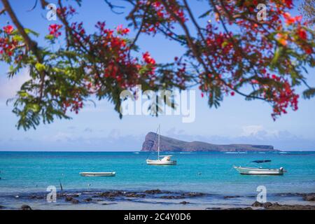 Cap Malheureux,view with turquoise sea and traditional flamboyant red tree,Mauritius island Stock Photo