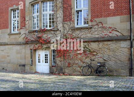 Facade of Schloss Muenster in Germany with a bicycle in front and red autumn foliage. Stock Photo