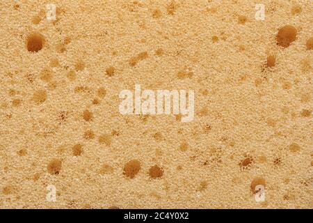Yellow sponge detail texture background. Stock Photo