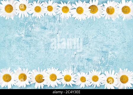 White daisy border on blue background. Copy space for text, top view. Summer concept Stock Photo