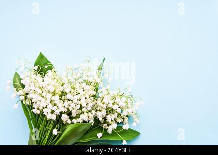 Bouquet of lily of the valleys on blue background. View from above, copy space for text Stock Photo