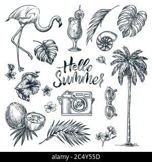 Hello summer calligraphy lettering and tropical design elements set. Vacation, sea beach holiday hand drawn icons, isolated on white background. Vecto Stock Vector