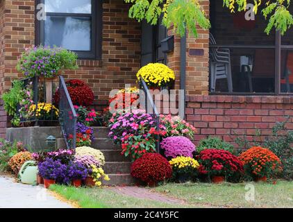 Main entrance stair of the brick house decorated by colorful potted flowers for autumn holidays season. Stock Photo