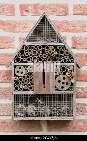 Wooden insect hotel hanging on a bick wall to provide shelter for little wild bugs Stock Photo