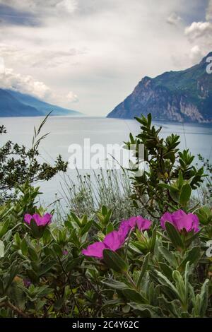 view of famous Lake Garda on a cloudy day from viewpoint in protected biotope area at Monte Brione situated near city Riva del garda and Torbole Italy Stock Photo