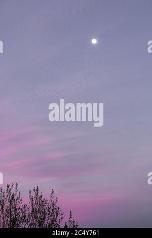 As a full moon rises, fuchsia pink clouds adorn the sky at sunset. Stock Photo