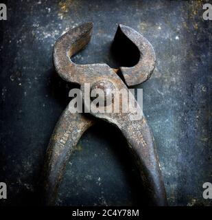 Closeup shot of rusted old nippers Stock Photo