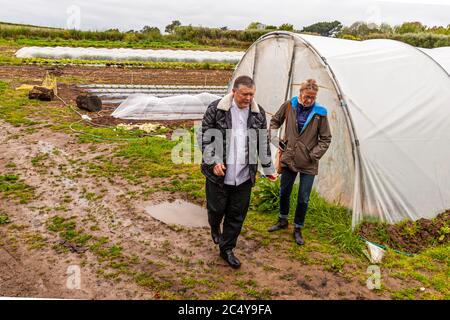 Puddles are no obstacle between the delicacies that grow in the greenhouses of Brittany. Food Tour with Michelin Star Chef Loic Le Bail in Morlaix, France Stock Photo