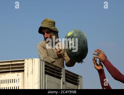 June 28, 2020: Jenin, Palestine. 28 June 2020. Farmers harvest watermelon in the Marj Bin Amer plain in the northern West Bank town of Jenin. The town of Jenin is built on the slopes of a hill and surrounded by many citrus and olive trees. It farms an abundance of fruits and vegetables and it was famous for its succulent watermelon known as Jadu'I. Jenin's farming potential has been adversely affected during the last decades by the constant Israeli occupation, the loss of land due to confiscation by the Israeli authorities, and the construction of the separation wall (Credit Image: © Mohamme Stock Photo