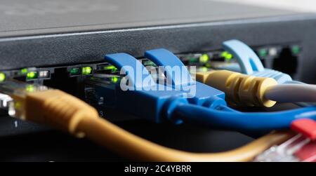 Ethernet cables connected to network switch, close up Stock Photo
